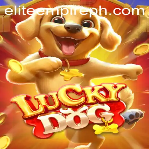 LuckyDog: Discovering the Elite Empire of Strategy and Chance